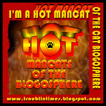 I'm A Hot Mancat