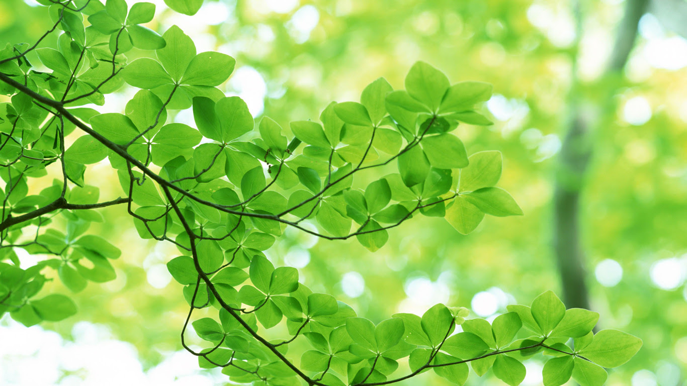 年7月18日 白羊 金牛 双子 巨蟹 狮子 处女座星座运势 星座资讯 娱乐新闻网