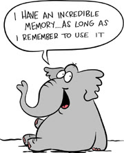 Elephant Memory