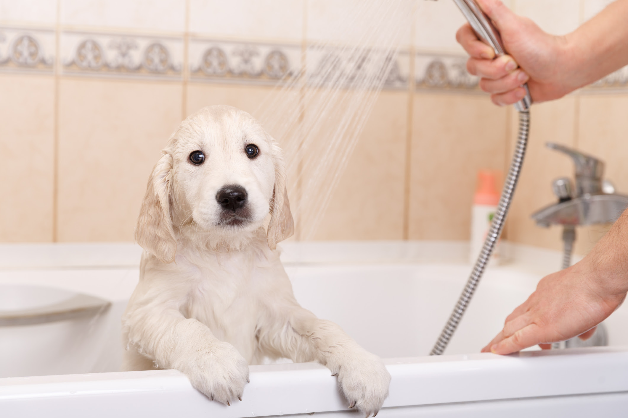 drain cleaning 