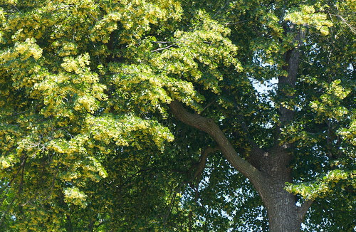 DSC03582 - Version 2