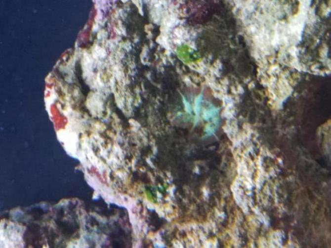 Click image for larger version Name: 20170620_155359_1498596075321.jpg Views: N/A Size: 50.1 KB ID: 158073