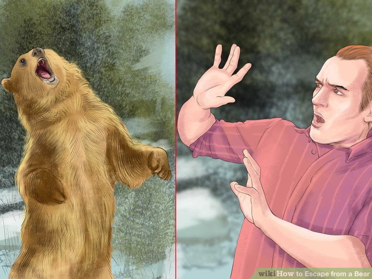 Escape from a Bear Step 14.jpg