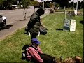 Video Whale Event part 1.wmv