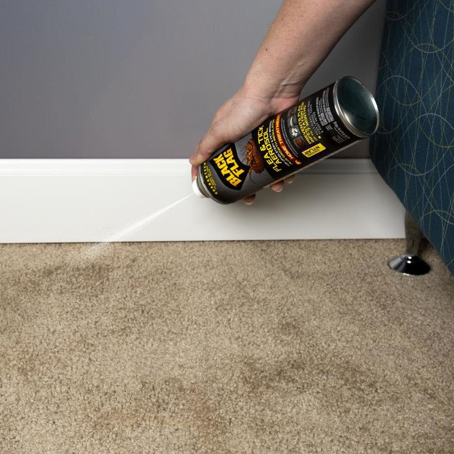 Black Flag Flea And Tick For Upholstery And Pet Bedding 14 Oz Flea Killer In The Pesticides Department At Lowes Com