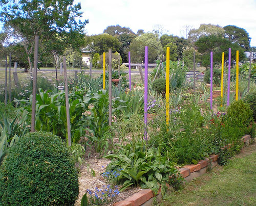 New stakes