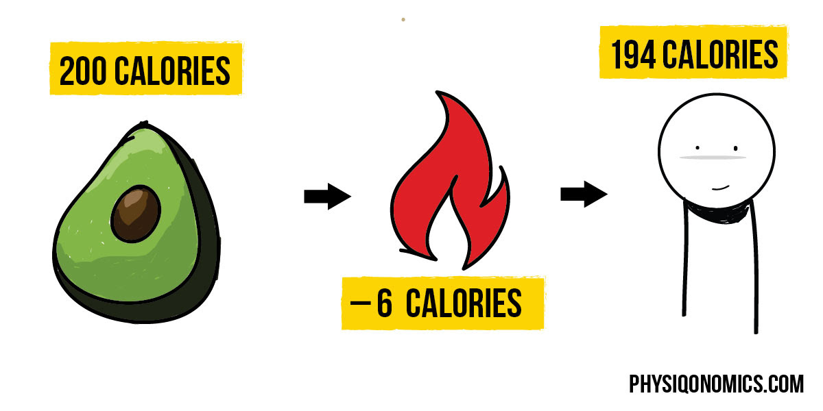 It's Not as Simple as Calories in Calories out but Calories Still Count. Here's Why. | Physiqonomics