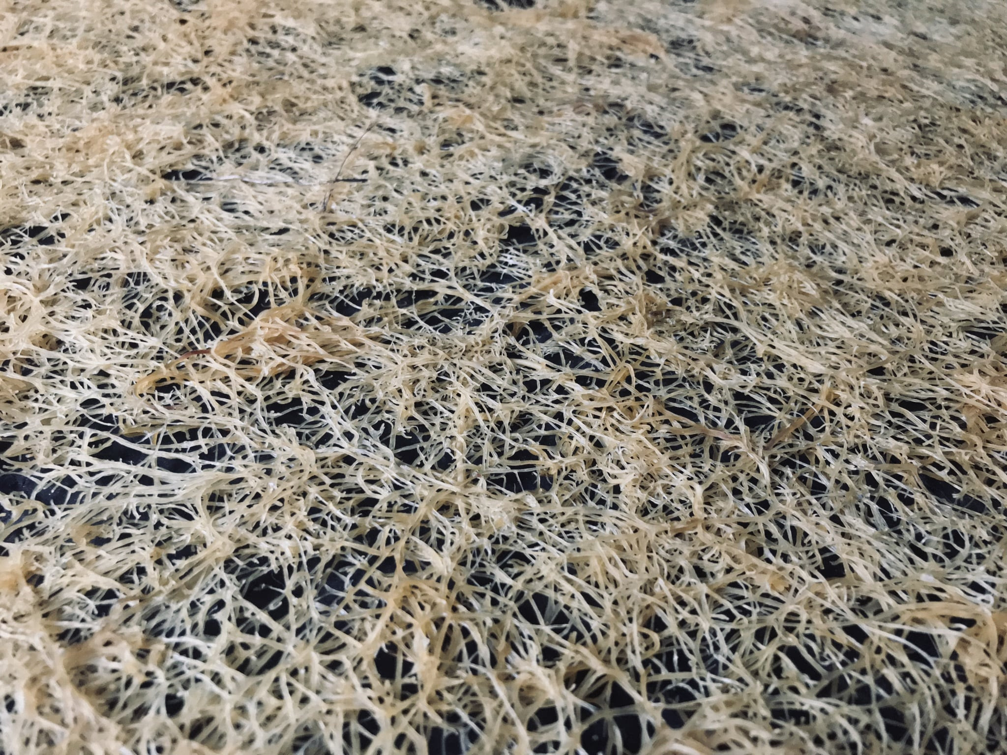 板ふのりについて ふのりドットコム 布海苔専門店