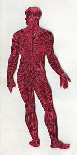 Quilled Muscles