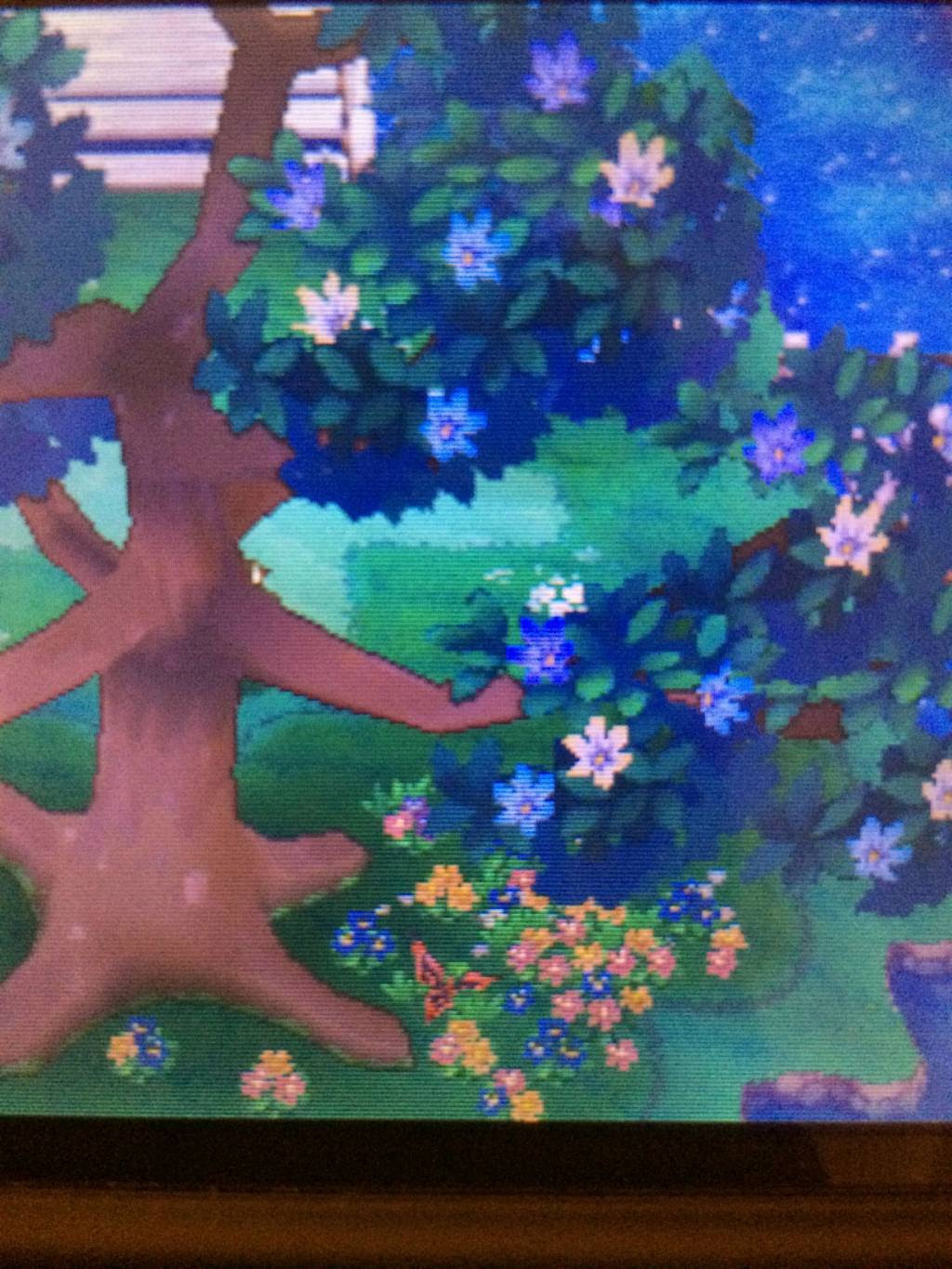 フラエッテ 永遠の花 イメージポケモンコレクション