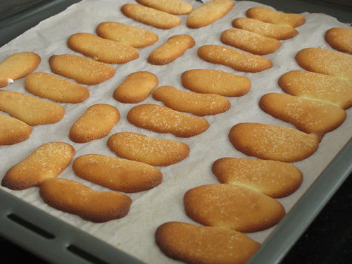 Lady fingers / savoiardi biscuits