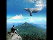 Terbaru 11+ Mentahan Gambar Ikan Paus Di Langit