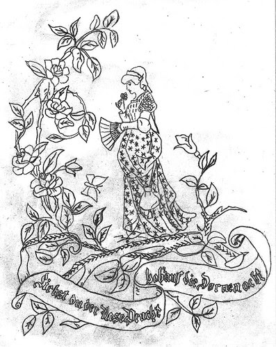 rosenpracht