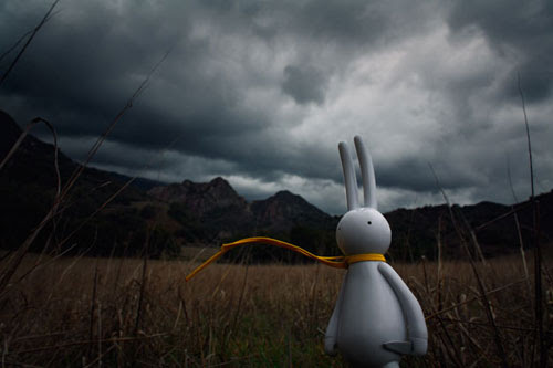 Toy Photography
