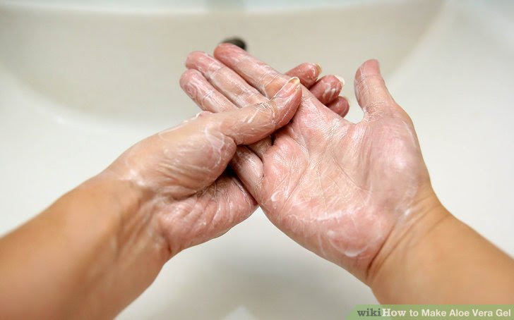 Make Aloe Vera Gel Step 1 Version 3.jpg