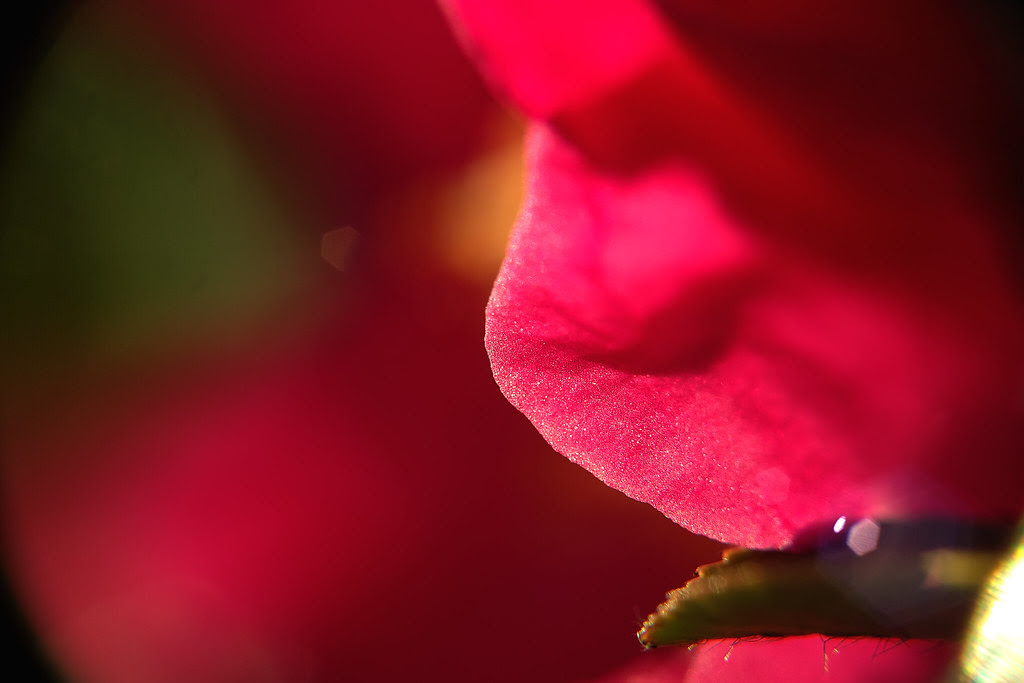 SDIM6905