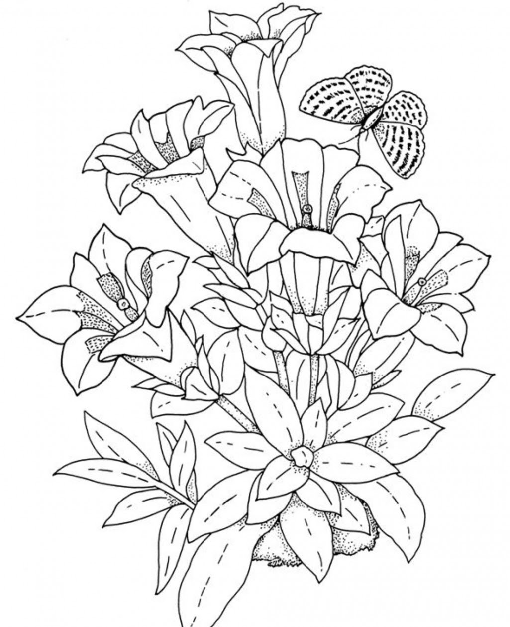 Download Detailed flower coloring pages to download and print for free
