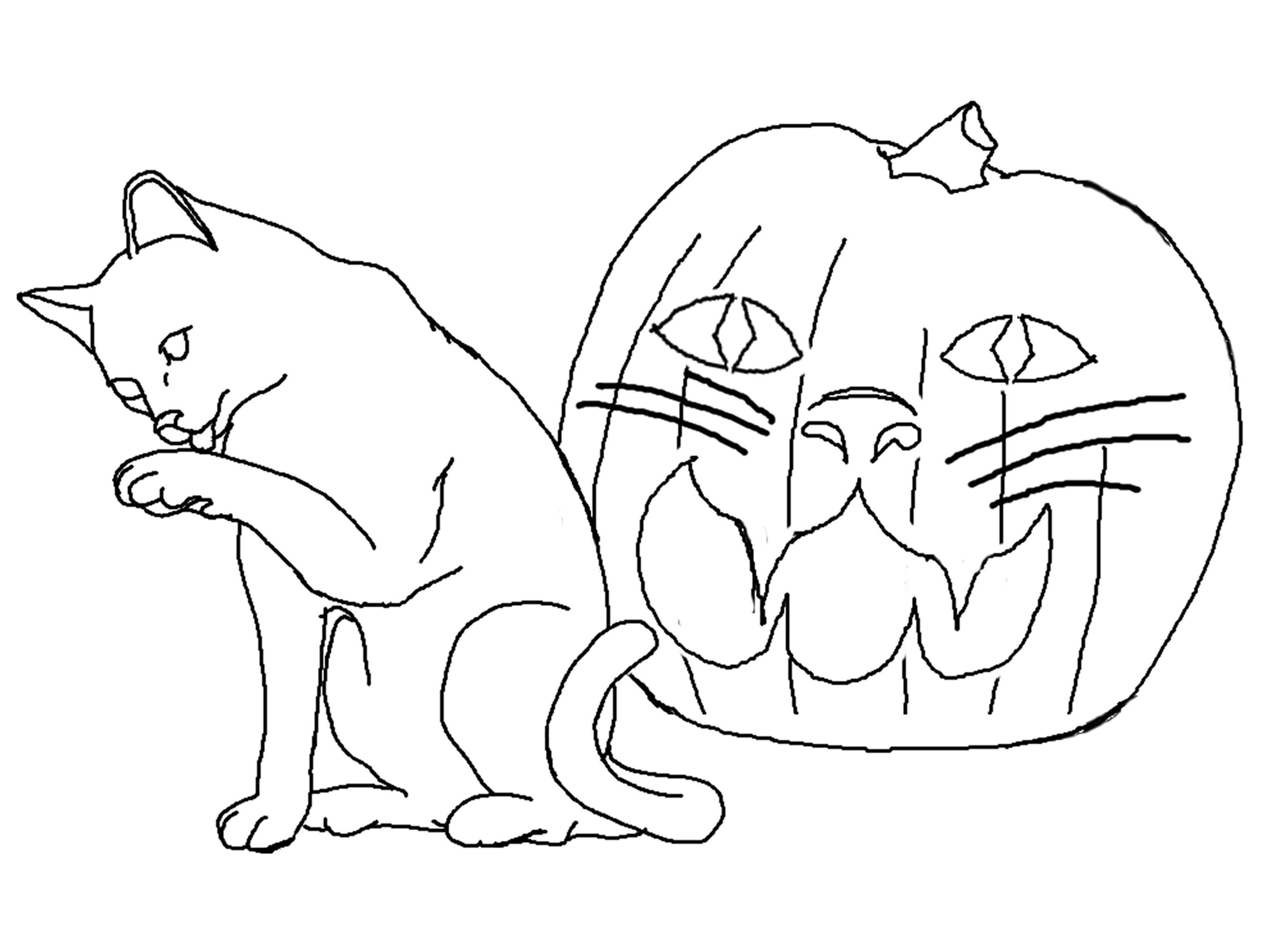 Free Printable Cat Coloring Pages For Kids Free Printable Cat Coloring Pages For Kids