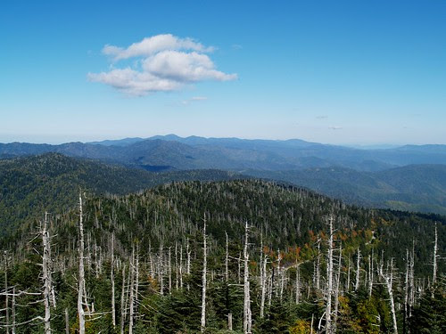 Clingman's Dome
