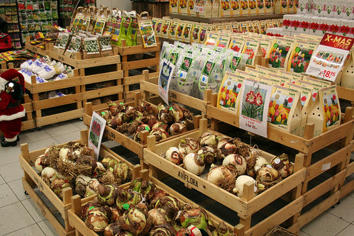Schiphol: Bulb Shop