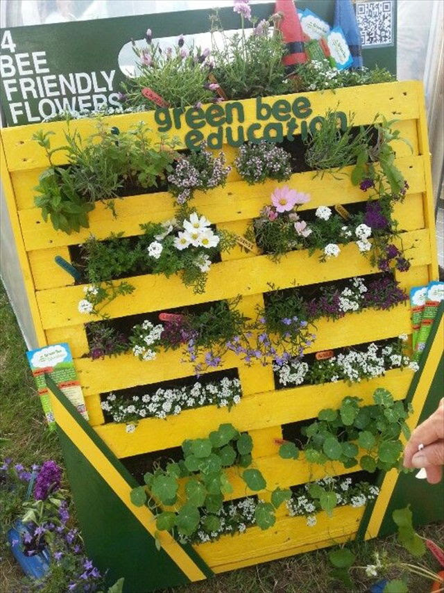 Vertical Gardening out of Recycle Pallets | Pallet Furniture Plans