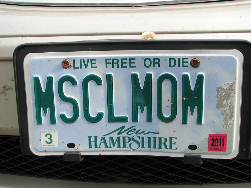 license plate birdhouse plans