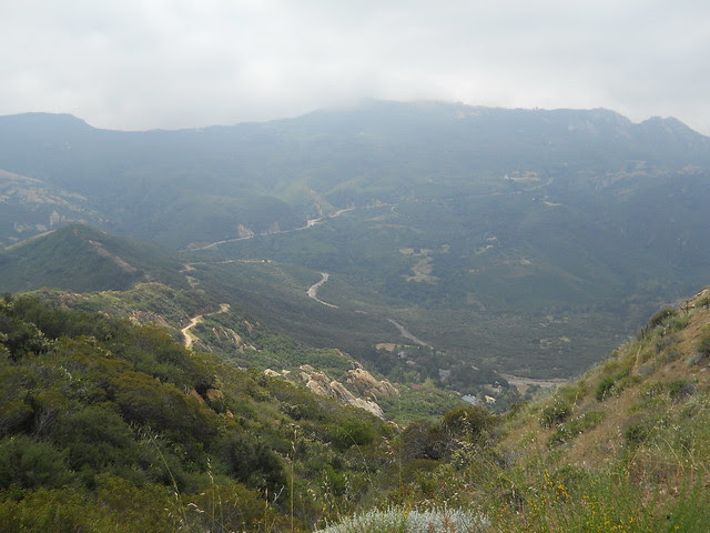 DSCN0273