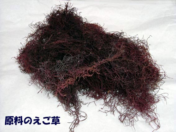 新潟の えご エゴ の 販売