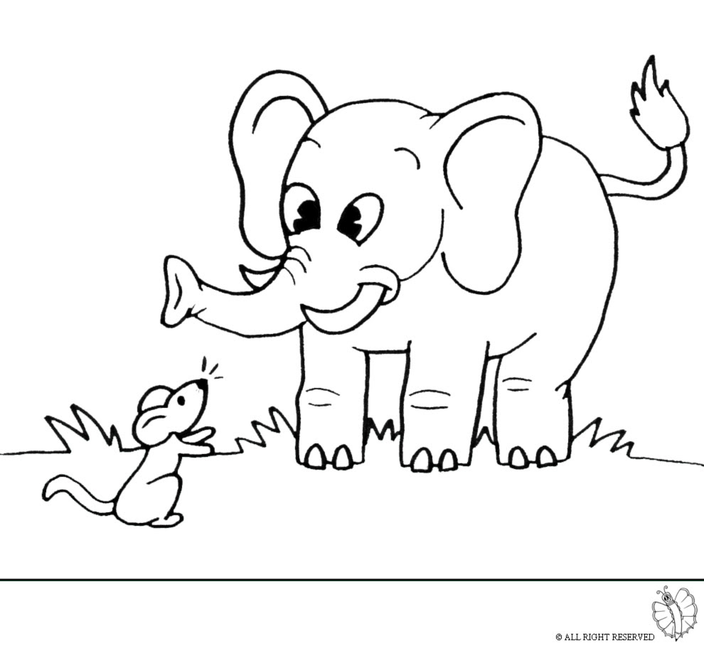 disegni da colorare per bambini elefanti