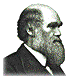 Darwin