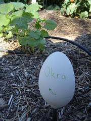 Okra Spoon Garden Marker