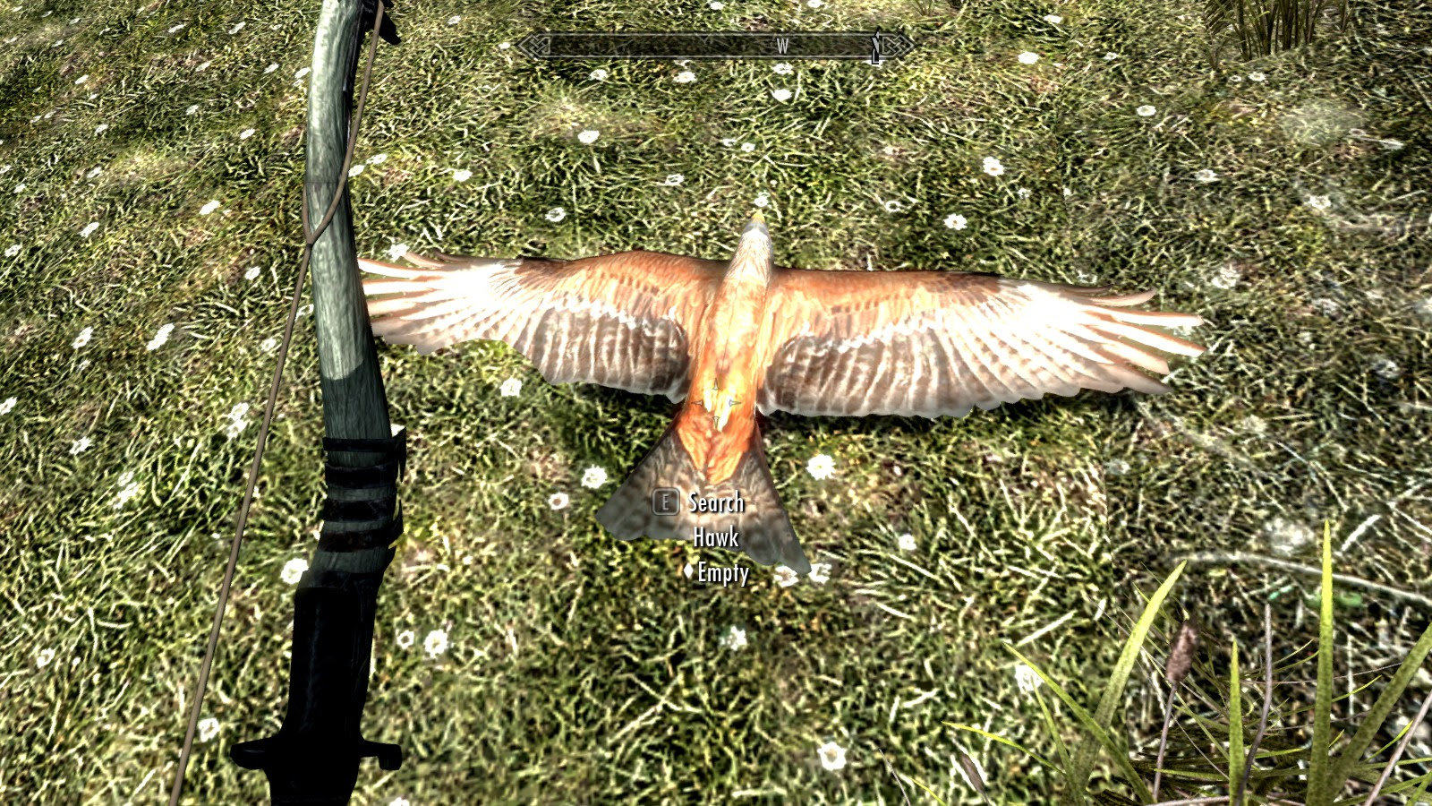 I Have Logged Hundreds Of Hours On Skyrim And I Did Not Learn This Until Today Bird Hunting Skyrim