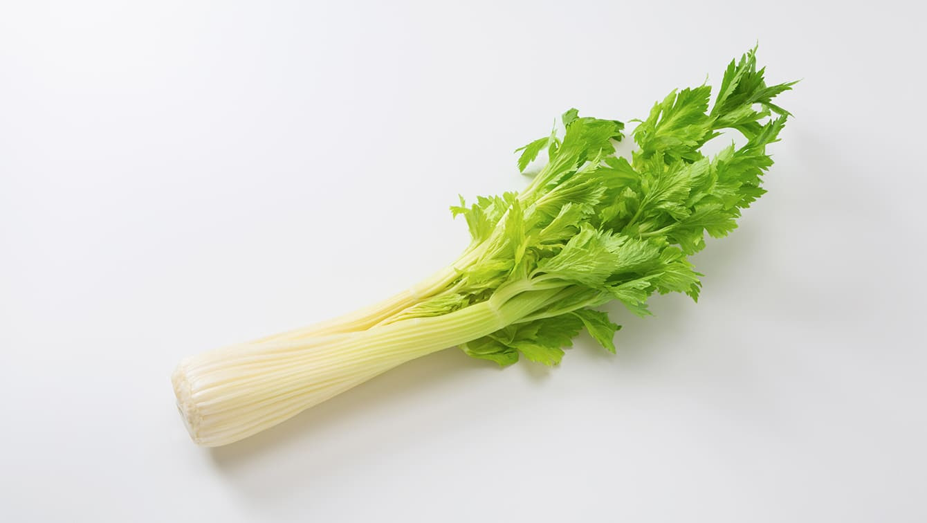セロリ 栄養や食べ方 切り方 選び方 保存方法などまとめ カゴメ株式会社
