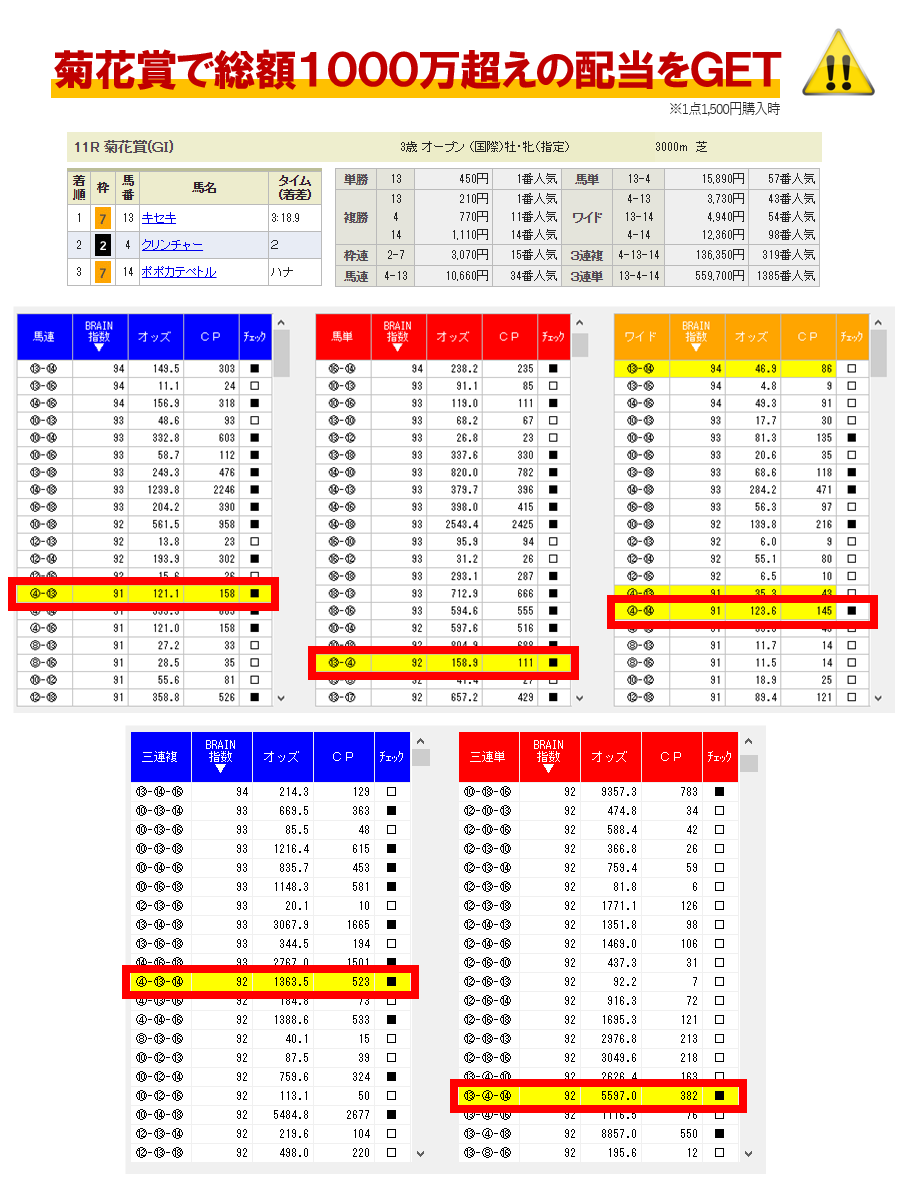 日刊コンピ分析ソフトｂｒａｉｎ６