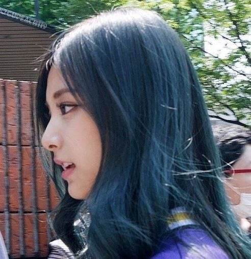 韓国人 日本人の横顔って熱帯魚みたいだな トゥワイスの日本 台湾 韓国アイドルの横顔を比較した結果 韓国芸能 世界の憂鬱 海外 韓国の反応