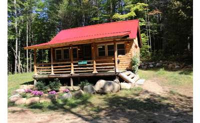 Taking Your Pet On Vacation To Lake George? Browse Our ...