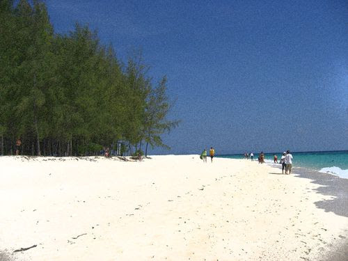 Bamboo Island