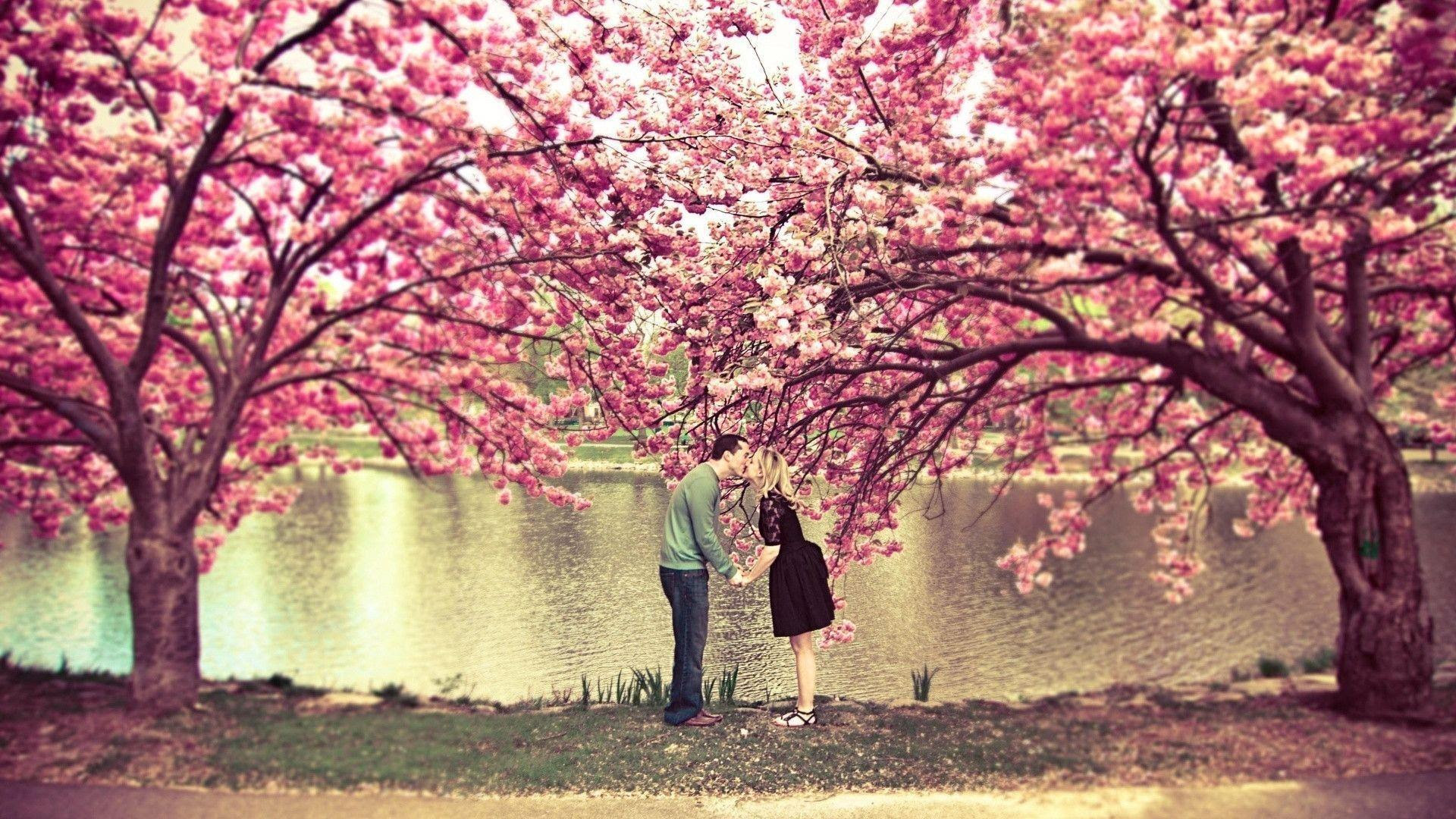 Spring Wallpapers 1920x1080 - Wallpaper Cave