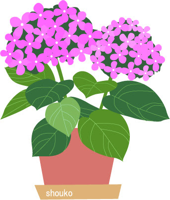 無料イラスト フリー素材 アジサイの花 Shoukoyamada イラストブログ