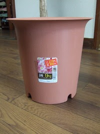 ベランダ菜園 取り寄せ植木鉢が