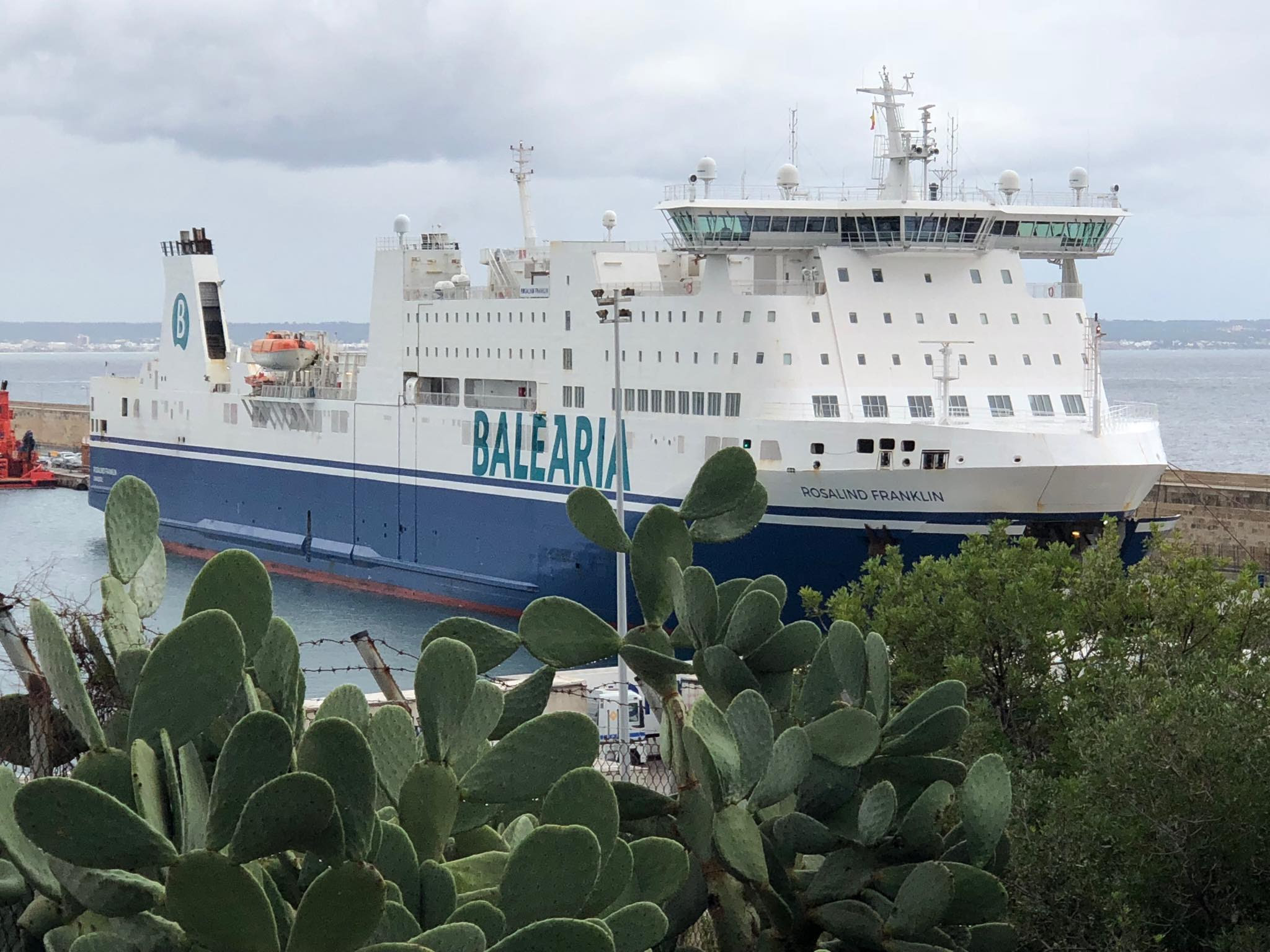 Passenger And Ro Ro Ship Certificate Geps