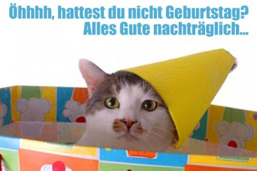 glückwünsche geburtstag reise