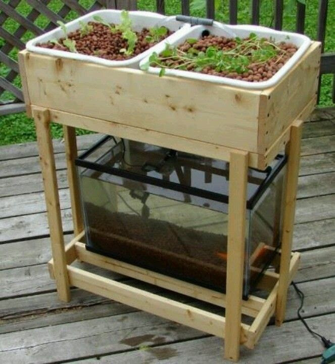 Small aquaponic system http://aquaponicsideasonline.com/aquaponics-4 ...