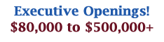 Executive Openings! $80,000 to $500,000+