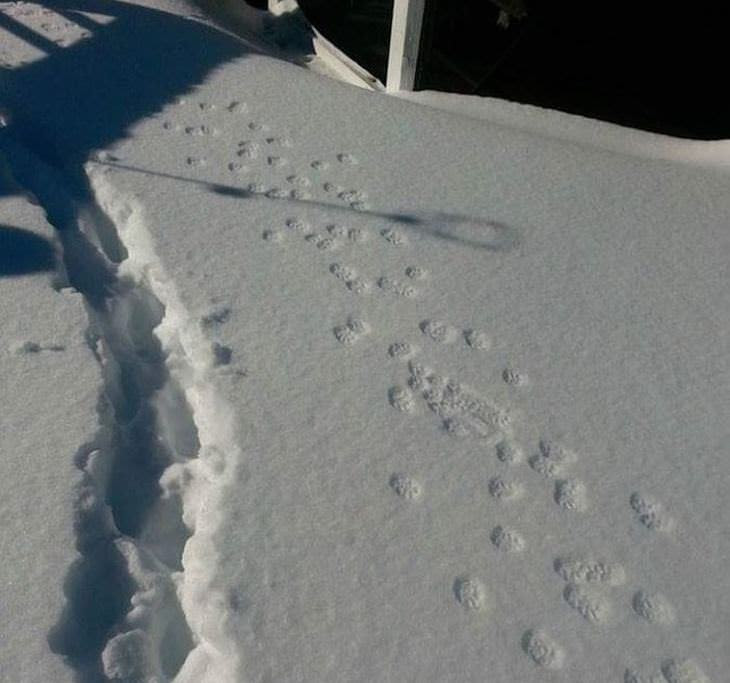 coisas do inverno