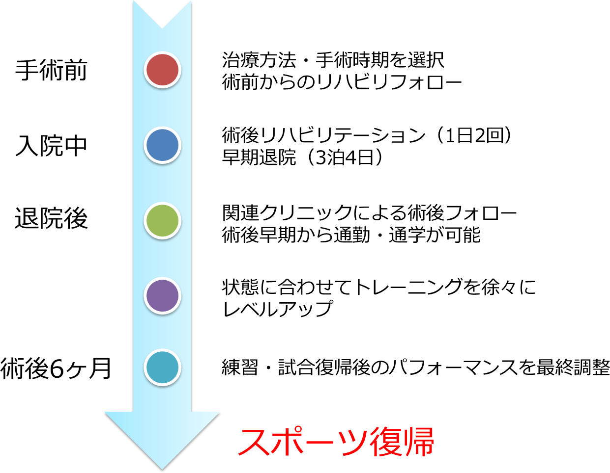 膝 靱帯 手術 あんしん病院