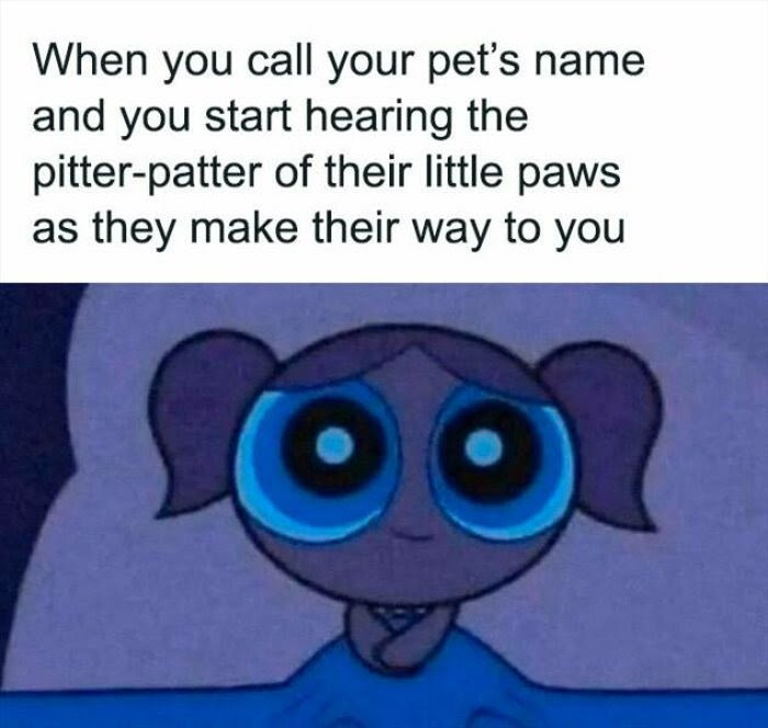 dailyhaha funny pictures