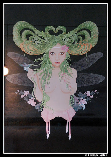 DSC_6853_bis