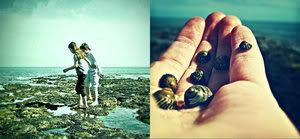 Photography Graphics