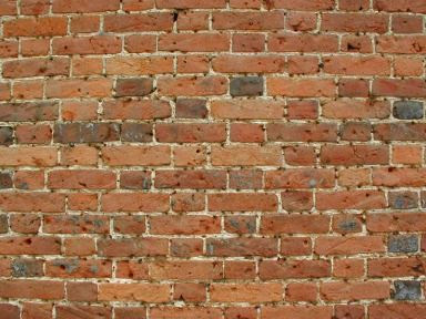 rookie wall